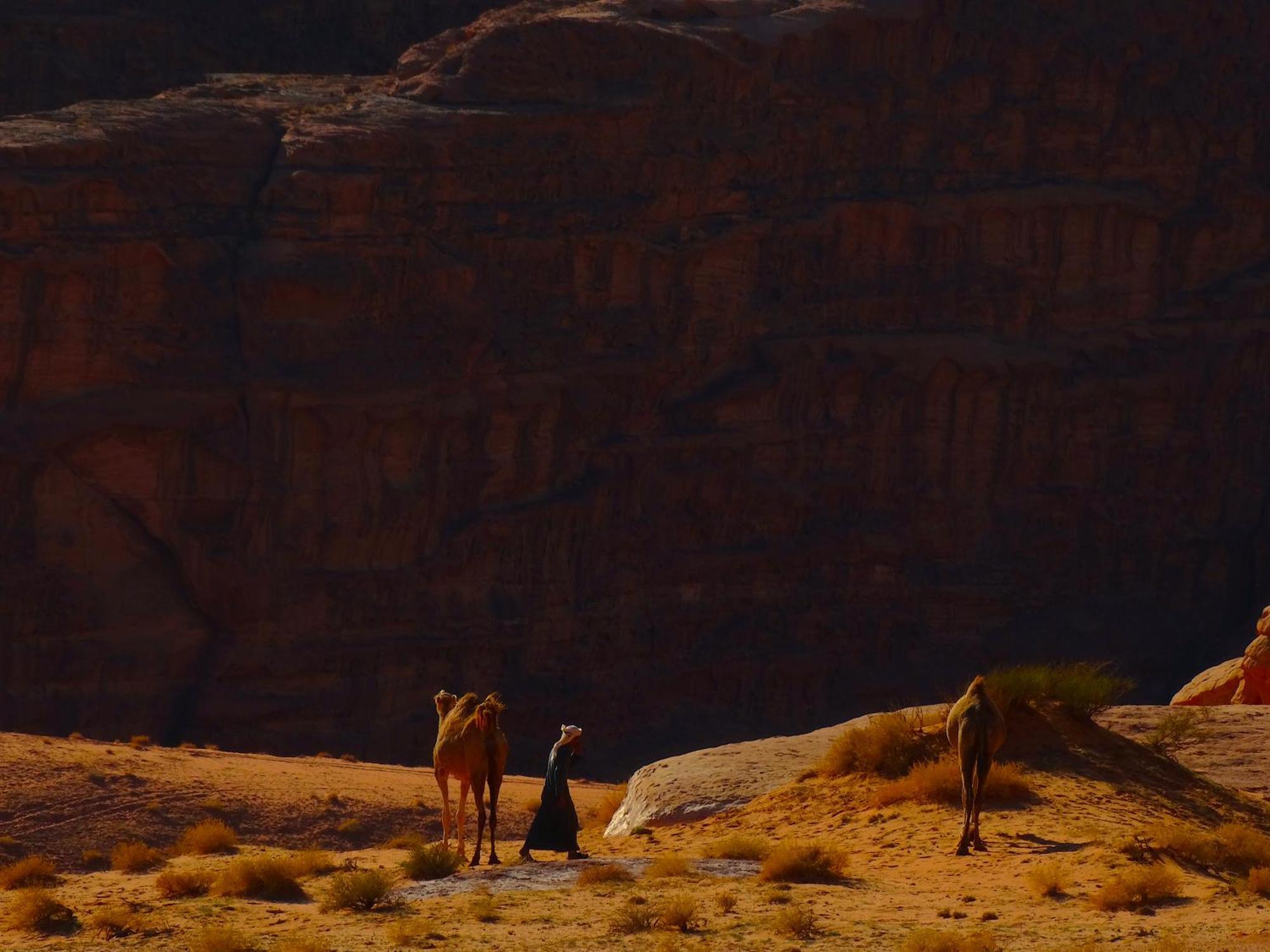 Wadi Rum View Camp エクステリア 写真